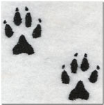 Identifying Animal Tracks And Their Meaning On Whats-Your-Sign.com