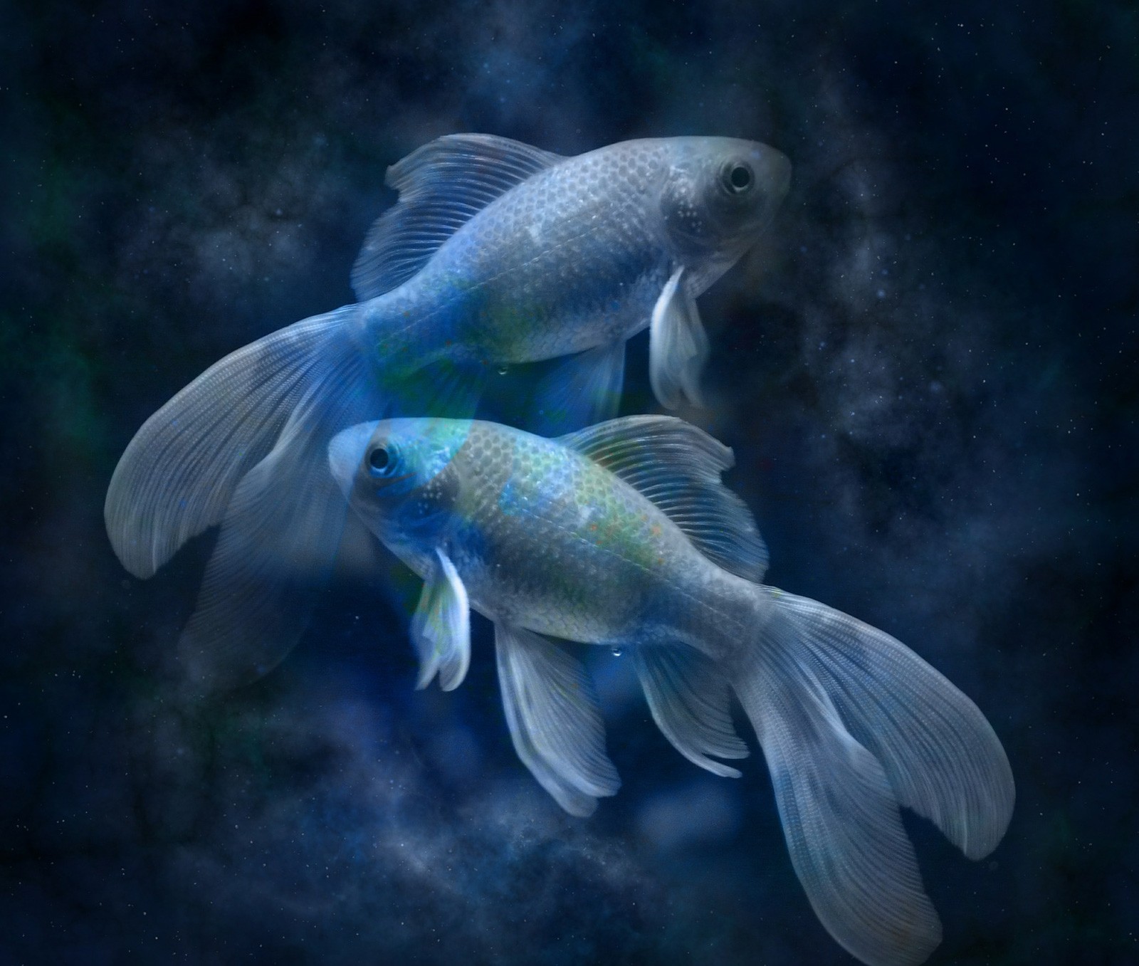 Zodiac Symbols For Pisces And Meanings For Pisces On Whats Your Sign