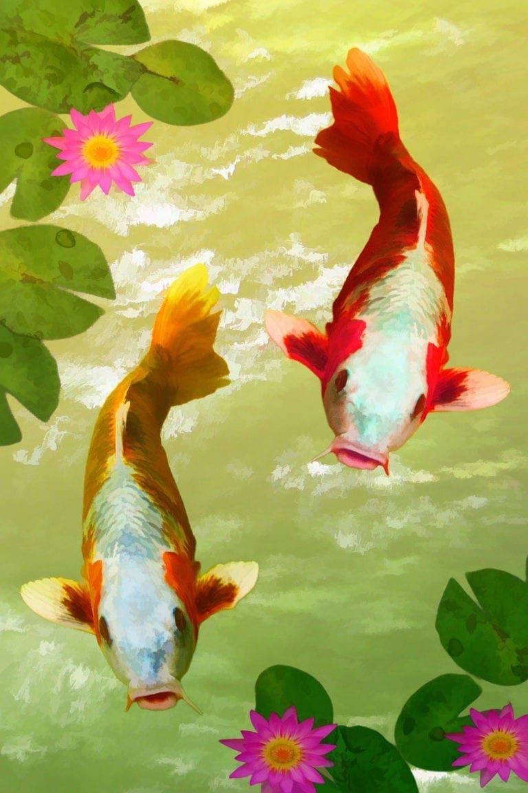 Animal Symbolism Koi Meaning On Whats Your Sign Com   AnimalSymbolismKoi2 768x1152 