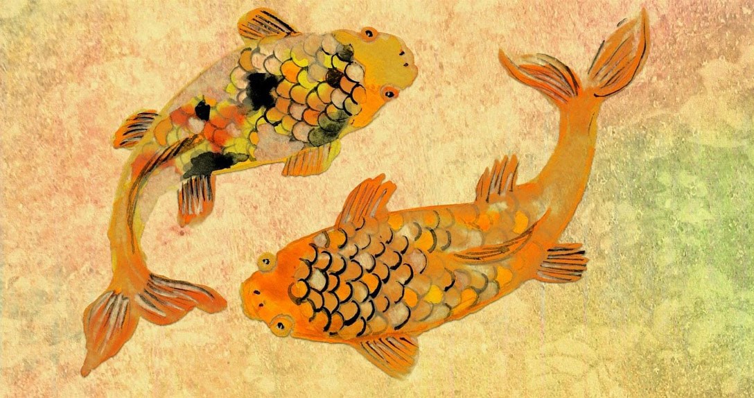 Animal Symbolism Koi Meaning On Whats Your Sign