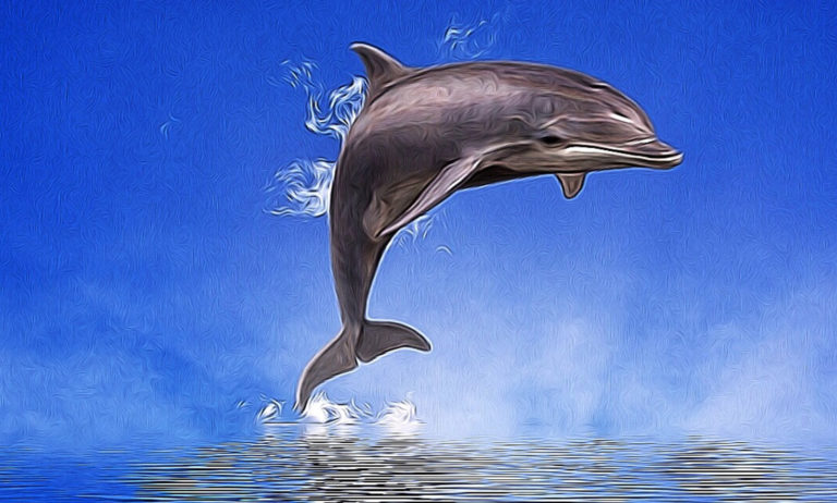 Dolphin Tattoo Ideas and Dolphin Meanings on Whats-Your-Sign