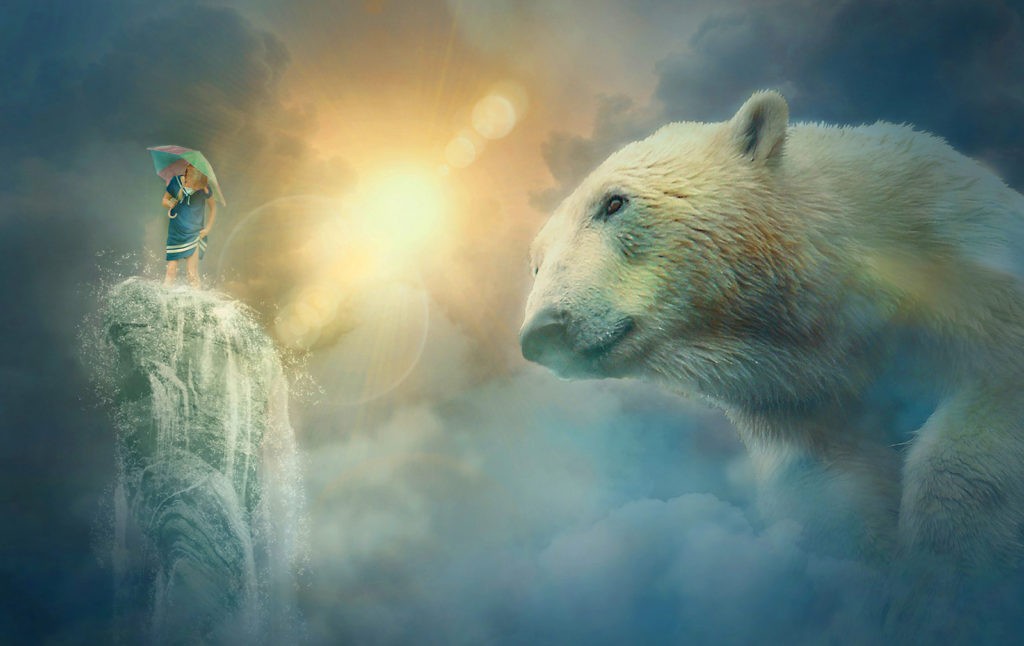 Polar Bear  Cosmic Animal Meanings, Messages & Dreams