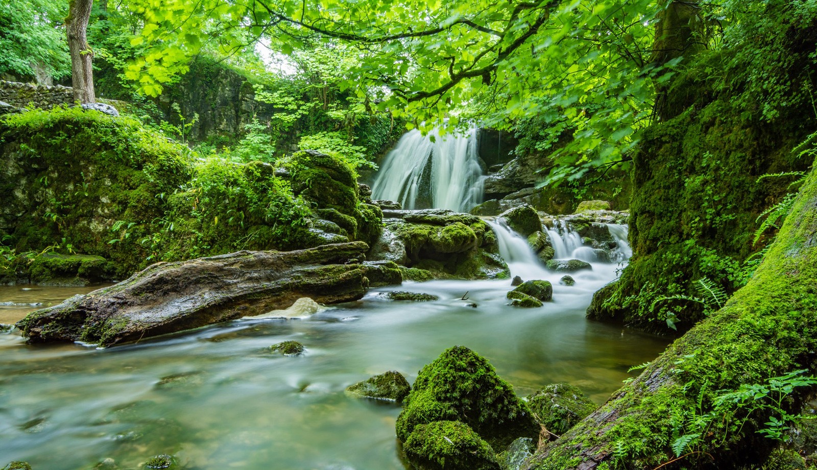 Finding Nature in Unlikely Places - Whats-Your-Sign.com