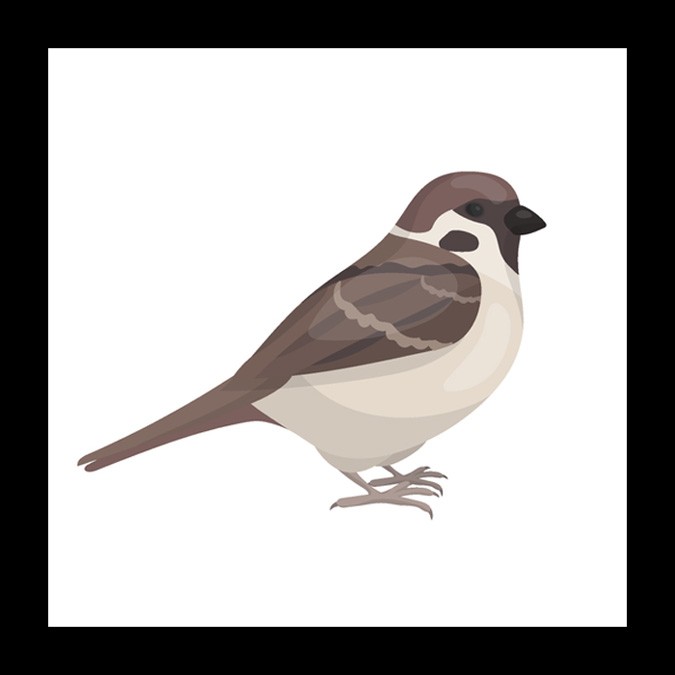 sparrow meaning and mother symbol