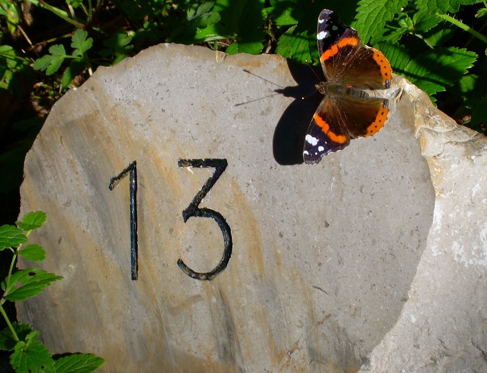 symbolic-number-thirteen-meaning-on-whats-your-sign