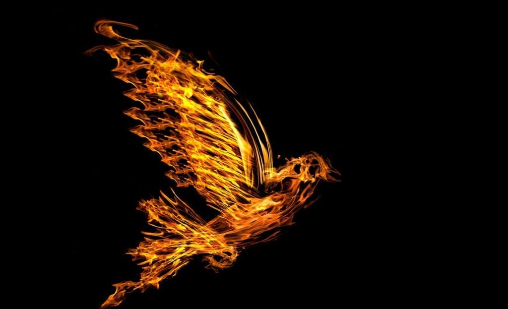 Symbolic Meaning Of The Phoenix On Whats Your Sign