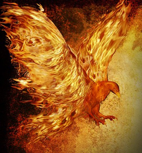 phoenix meaning for tattoo ideas