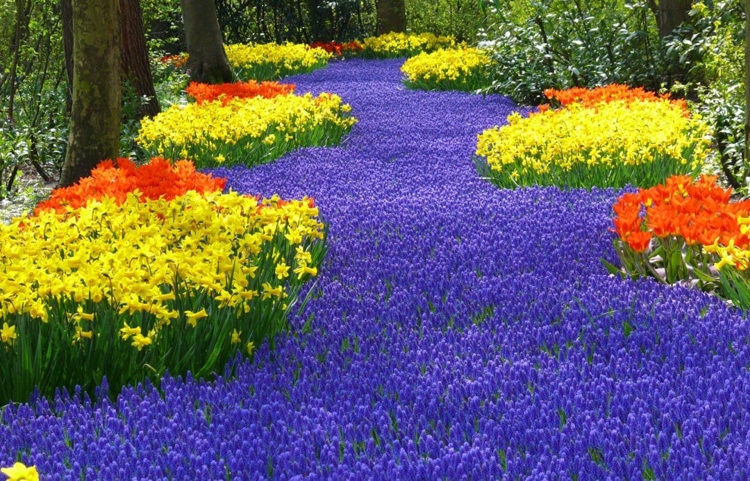 symbolic-garden-meaning-rock-water-produce-flower-garden-meaning