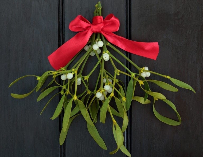 mistletoe-meaning-it-s-more-than-a-christmas-decoration-on-whats-your-sign