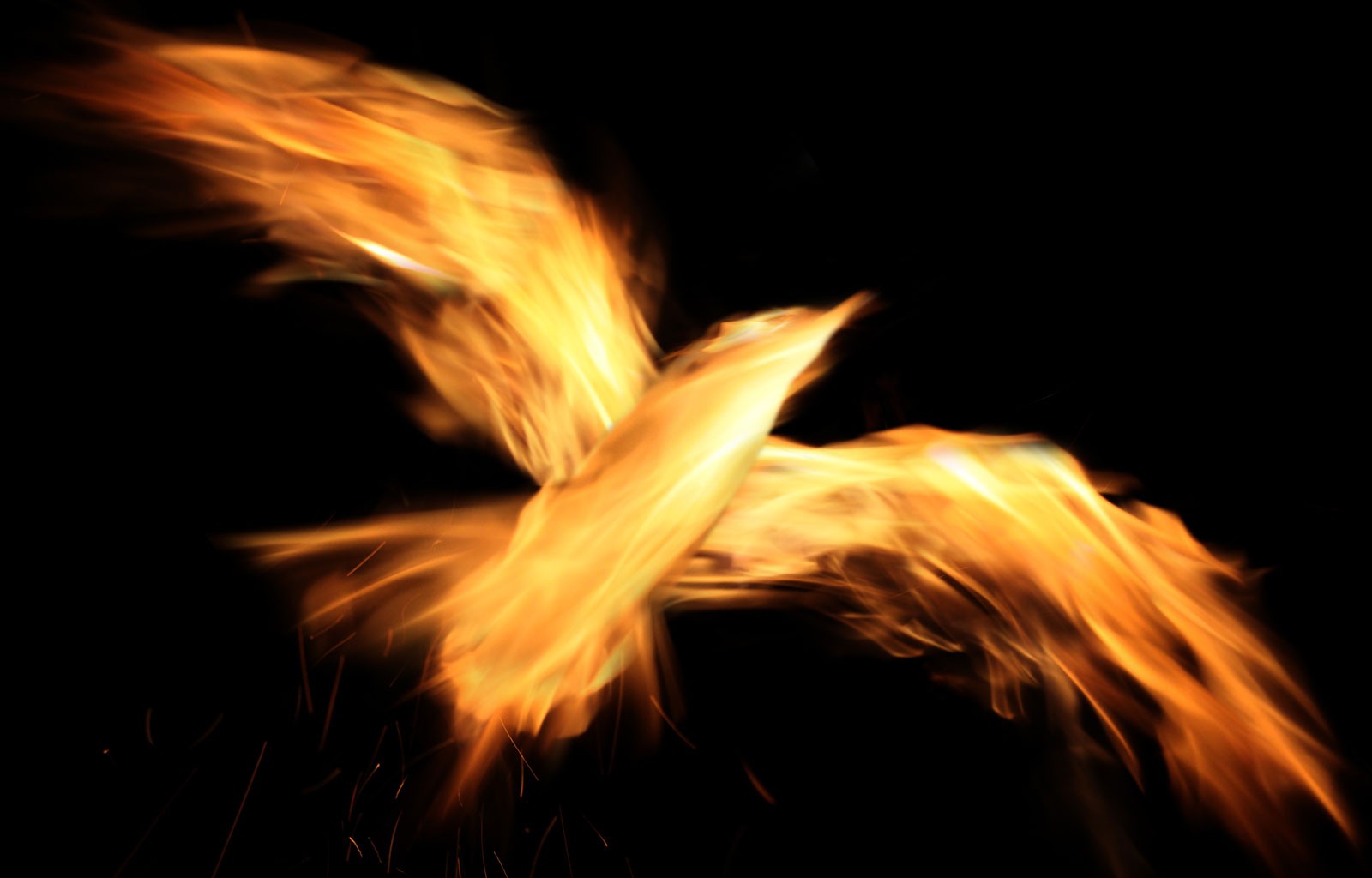 Bird burn. Феникс Зин. Fiery Phoenix with Wings. Arson Bird. Bird Burn картинка о комментах в интернете.