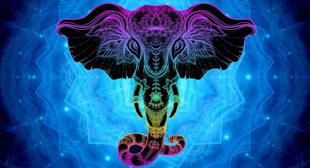 Chakra Animal Symbols and Meaning on Whats-Your-Sign.com