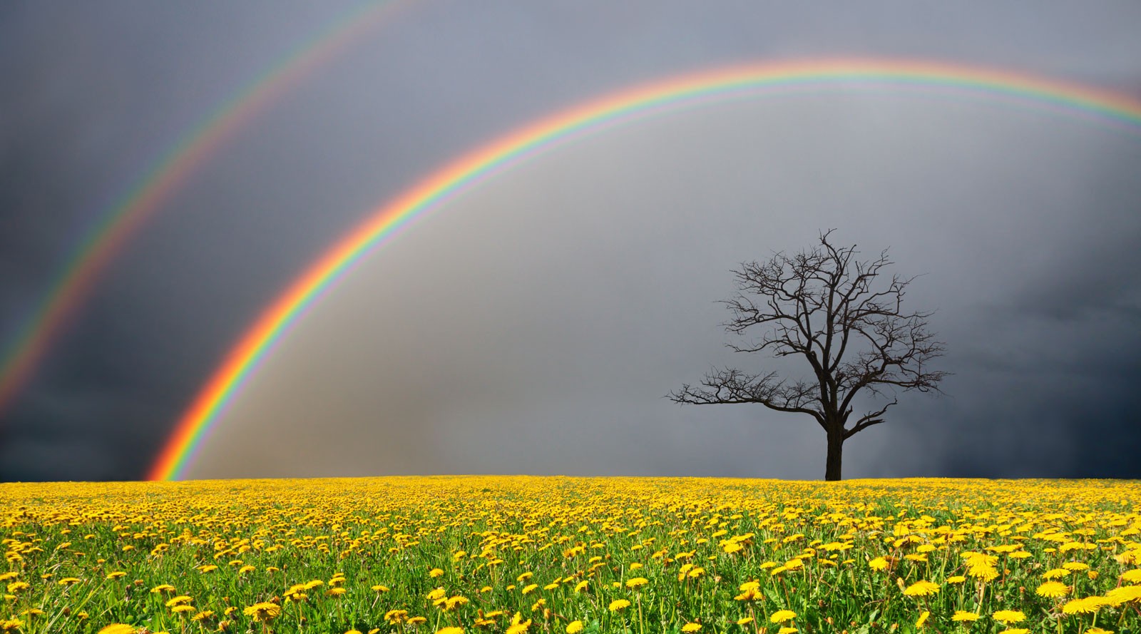 Symbolic Meaning Of Rainbows On Whats Your Sign