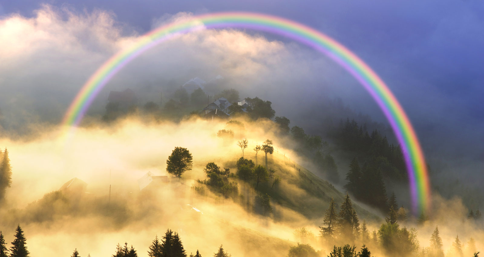 Symbolic Meaning Of Rainbows On Whats Your Sign