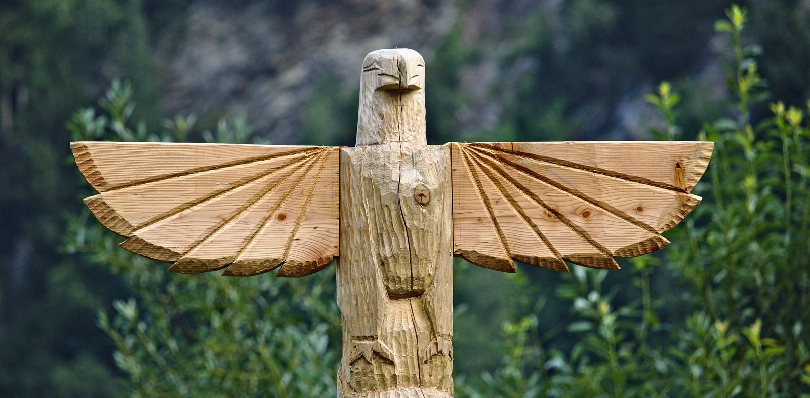thunderbird native american hawk symbol