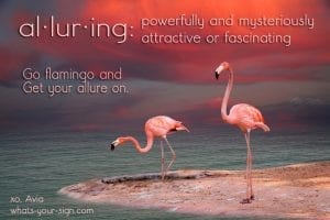 Flamingo Totem Meaning and Flamingo Facts