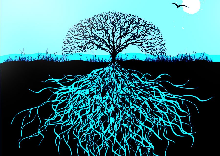 Tree Symbol Of Life On Whats Your Sign Com Look At The Tree As A Symbol Of Life