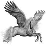 pegasus whatsyoursign