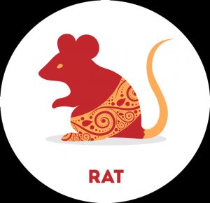 Rat Chinese zodiac meaning and Chinese new year