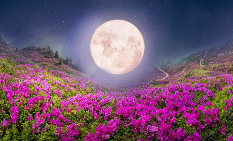 Full Pink Moon Meaning in April and Pink Supermoon Meaning