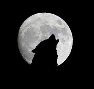 January Full Wolf Moon Meaning