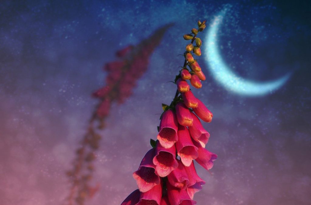 Flower Moon Meaning of May Meanings, Myths and Things to Do During