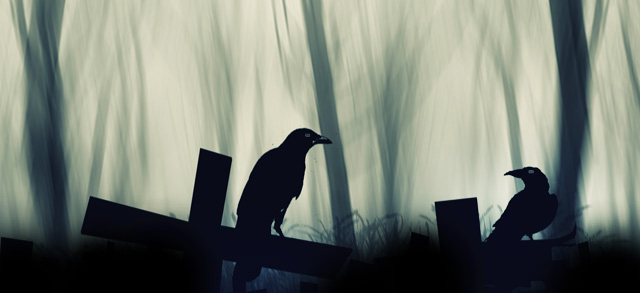 Interpreting Dead Crow Meaning | Symbolism of the Death of a Crow | by ...