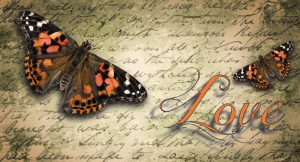 Symbolic Butterfly Messages of Love