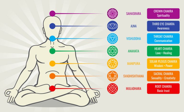 Flowers Associated With Chakras | Flowers and Chakra Meanings