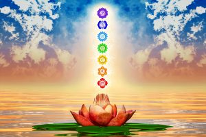 Flowers Associated with Chakras