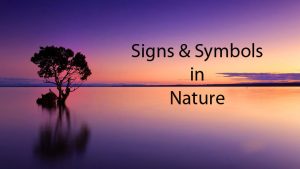 Nature Signs and Symbols