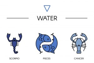 Family Zodiac Guide - Water Signs