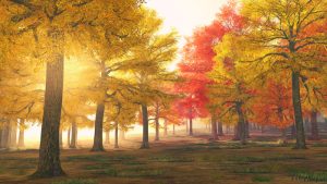 Autumn Equinix Meaning