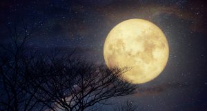 Types of Full Moons and Meaning