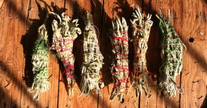 Types of Smudge Sticks - Sage