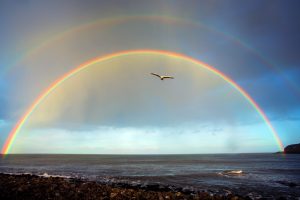 Symbolism of Rainbows and Starting Over