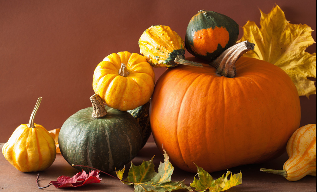 Symbolic Meaning of Pumpkins - Whats-Your-Sign.com