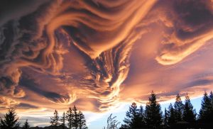 Rare Clouds and their Meanings