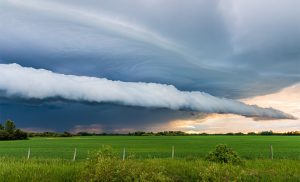 Rare Clouds and their Meanings