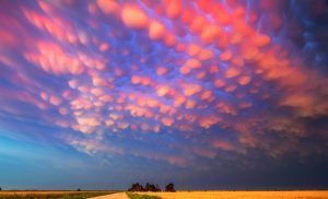 Rare Clouds and their Meanings