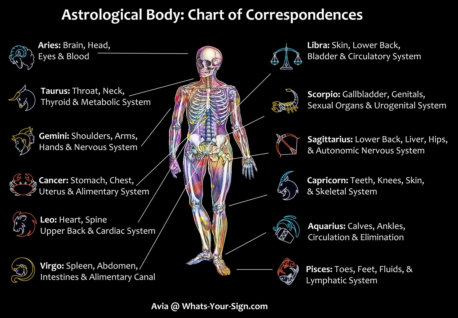 astrology body parts