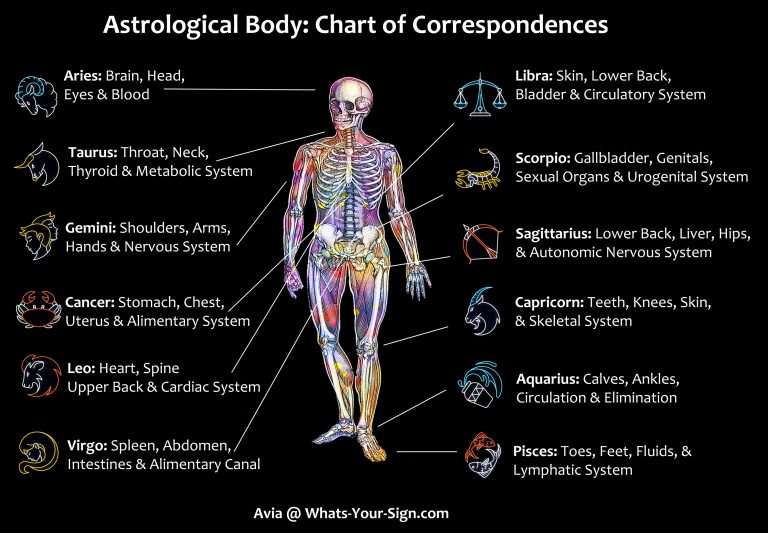 Astrology And Your Health Zodiac Signs And Corresponding Body Parts