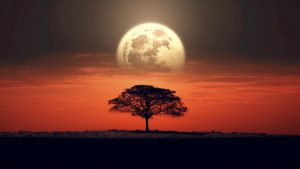 Supermoon Meaning Supermoon Spiritual Symbolism