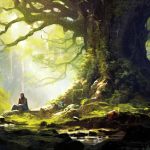 What is Shinrin-Yoku How to Do It and Benefits of Forest Bathing