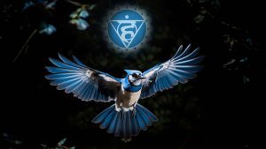 Vishuddha and Blue Jay Insights: Exploring the Throat Chakra and Blue Jay Meaning