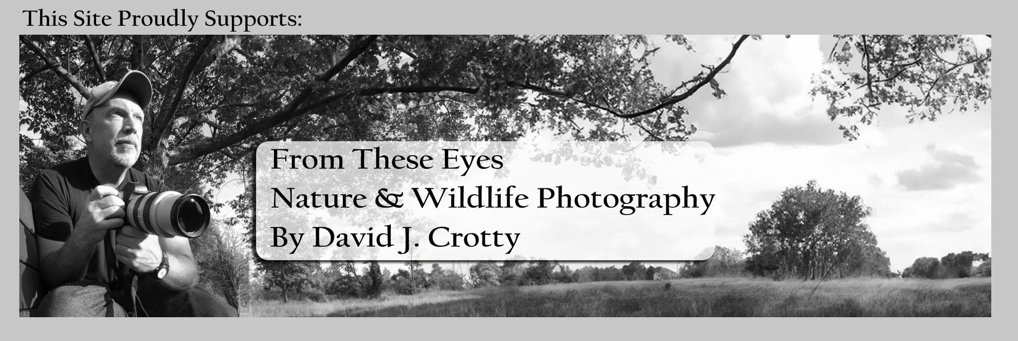 David J. Crotty Photography on Etsy
