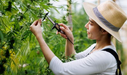 Tips for Visiting a Farm dispensary