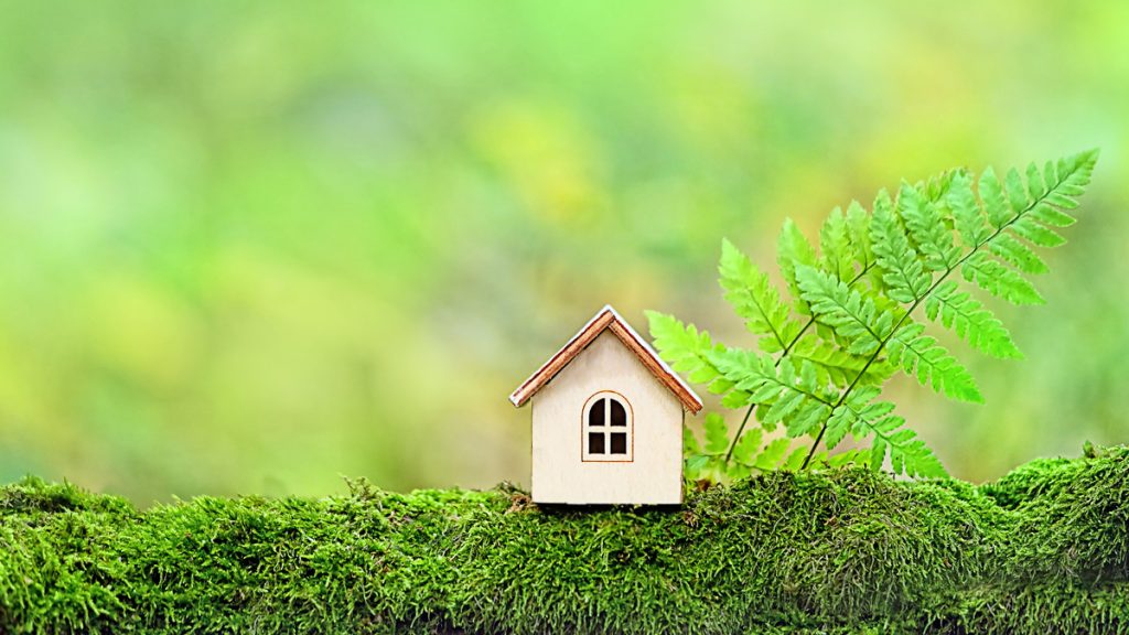 How Eco-Friendly Homes Enhance Mental Health