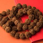 7 Mukhi Rudraksha