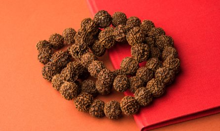 7 Mukhi Rudraksha